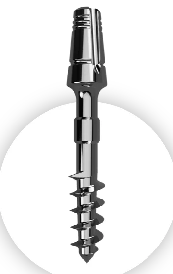 Basal or cortical implants