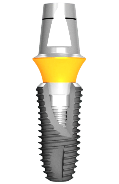 Prosthetic Components
