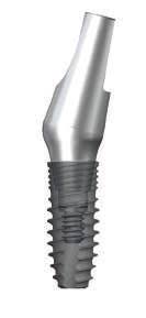 Angled Abutment | 15 Degree | NR Line | Dentium