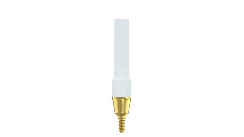 Straight Abutment | Trans Mucosal | NP | Closefit Compatible | ADIN — Buy Online | IMPLANTSKART