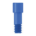 Angled Screw Channel Prosthetic Screw | SP | MIS Seven & Lance Plus Compatible | ImplantsKart

