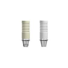 Metal Casting Abutment | NR Line | Dentium