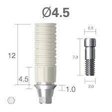 Metal Casting Abutment | Co-Cr | Super Line | Dentium