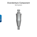 Ball Abutment | Bone Level | Bright | Dentium
