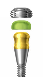 Positioner Abutment | Bone Level | Bright | Dentium