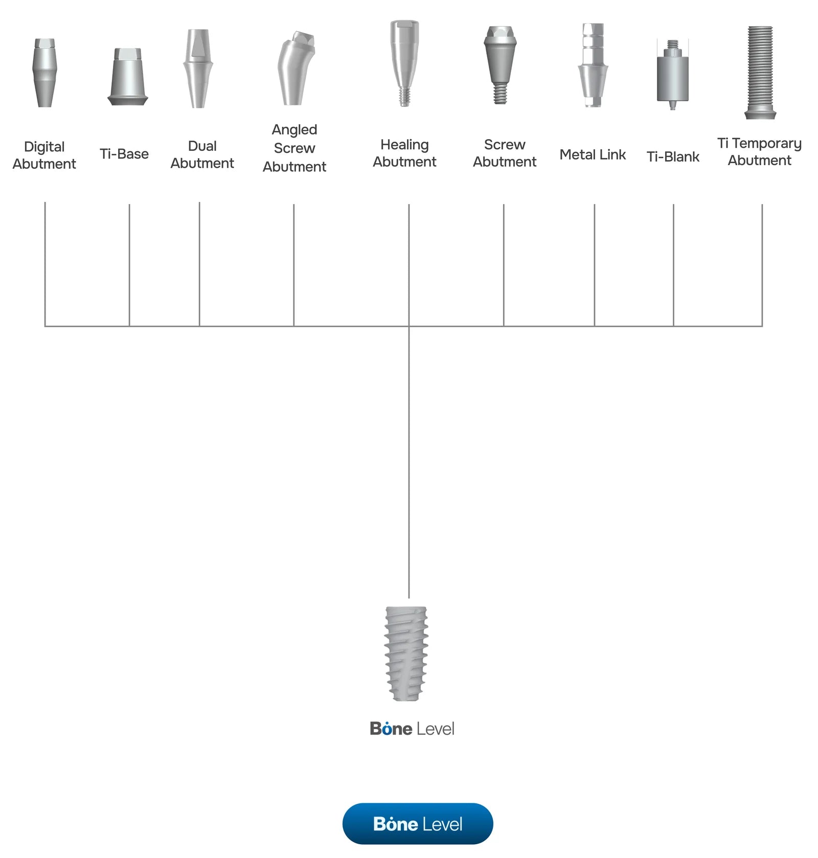 Ti-Blank | Bone Level | Bright | Dentium