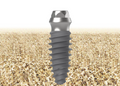Dental Implant | Tissue Level | Bright | Dentium