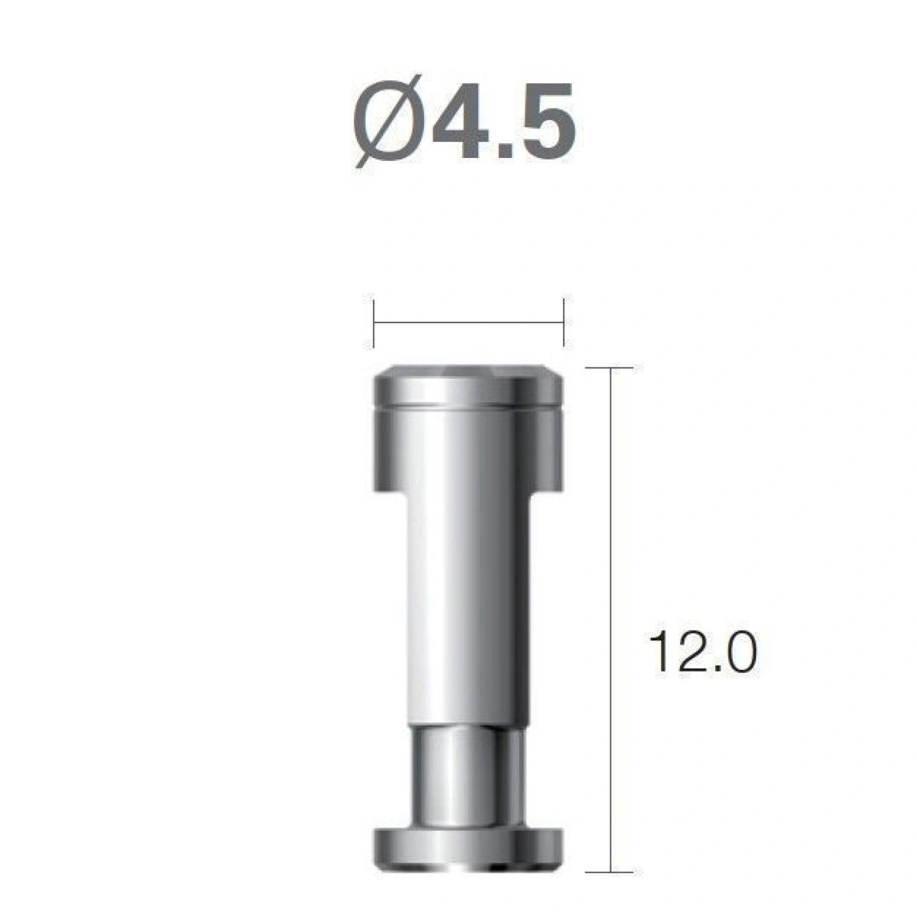 Digital Analog | Screw Abutment | Super Line | Dentium