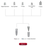 Digital Abutment | Bone Level | Bright | Dentium