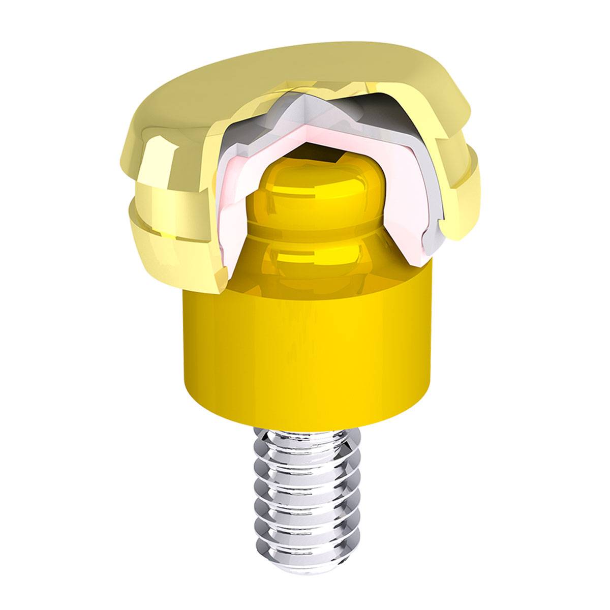 Magnet Assay | Bone Level | Dome | 5mm x 2.5mm | Bright | Dentium