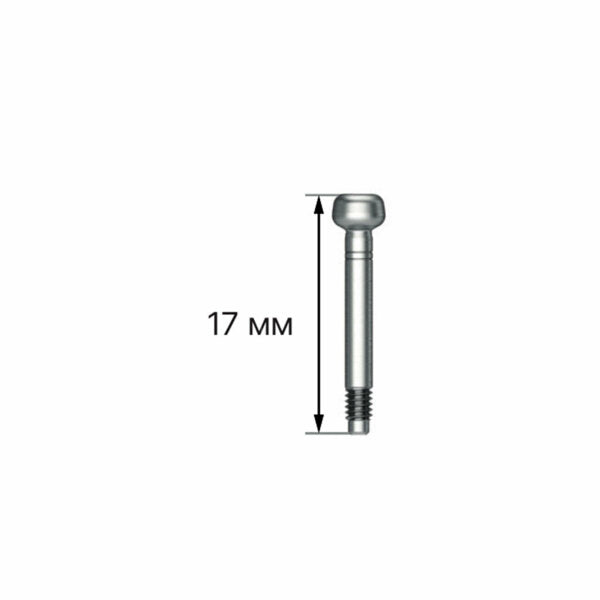 Impression Coping  Transfer Screw | Super Line | Dentium