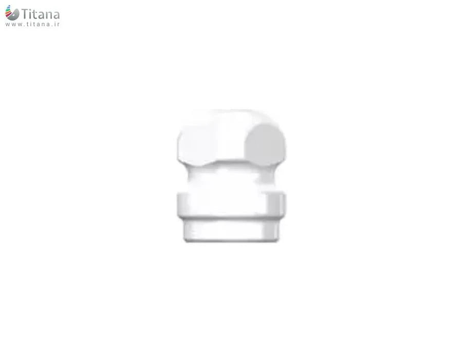Mini Ball Impression Coping | Super Line | Dentium