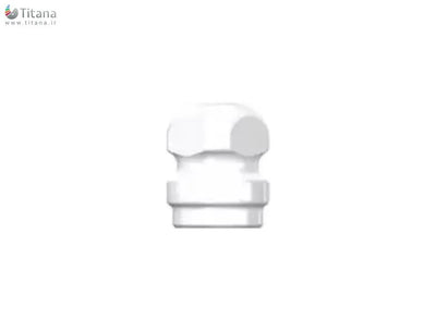 Mini Ball Impression Coping | Super Line | Dentium
