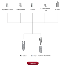 Digital Abutment | Bright | Bone Level | Dentium | ImplantsKart
