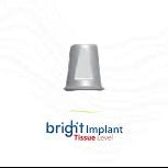 Digital Abutment  Bright  bone Level  Dentium  