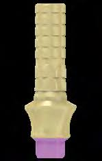 Temporary Cylinders | Anti-Rotation | Temporary Restoration | MIS Seven & Lance Plus Compatible | ImplantsKart
