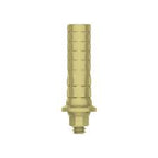 Temporary Cylinders | Anti-Rotation | Temporary Restoration | MIS Seven & Lance Plus Compatible | ImplantsKart
