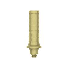 Temporary Cylinders | Anti-Rotation | Temporary Restoration | MIS Seven & Lance Plus Compatible | ImplantsKart

