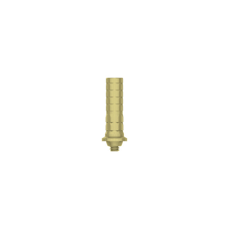 Temporary Cylinder | Anti-Rotation | Seven & Lance Plus Compatible | MIS | ImplantsKart