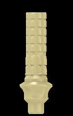 Temporary Cylinders | Anti-Rotation | Temporary Restoration | MIS Seven & Lance Plus Compatible | ImplantsKart
