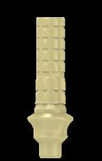 Temporary Cylinders | Anti-Rotation | Temporary Restoration | MIS Seven & Lance Plus Compatible | ImplantsKart
