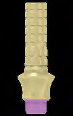 Temporary Cylinder | Free Rotation | MIS Seven & Lance Plus Compatible | ImplantsKart
