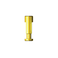 Analog | Pick Up | Fixture Level Impression | NR Line | Dentium