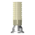 Screw Abutment Metal Cylinder | Standard | NR Line | Dentium