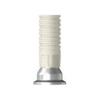 Screw Abutment Metal Cylinder | Standard | NR Line | Dentium