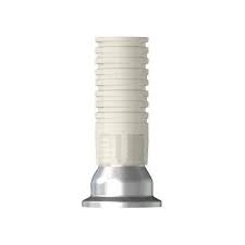 Screw Abutment Metal Cylinder | Standard | NR Line | Dentium