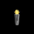 Screw Abutment | Non-Hex | Super Line | Dentium