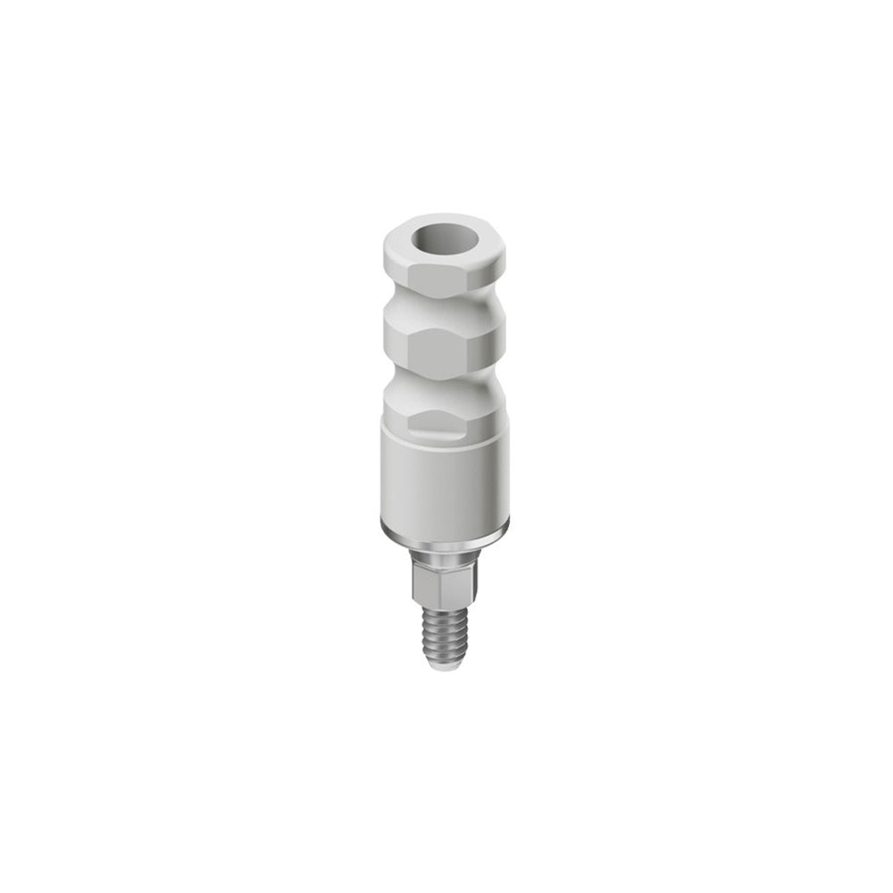 Titanium/Plastic Abutment (Casting) | RS | Internal Hex | Touareg S, Touareg OS & Swell Compatible | ADIN — Buy Online | IMPLANTSKART