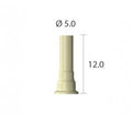 Screw Abutment Burn Out Cylinder | Standard | NR Line | Dentium