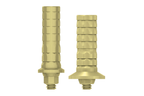 Temporary Cylinder | Free Rotation | Seven & Lance Plus Compatible | MIS